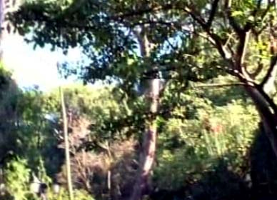 Escursione ai Giardini “La Mortella”