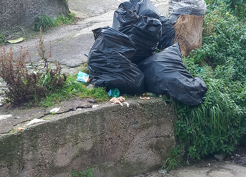 Riceviamo e pubblichiamo. Forio E’ il caso di installare videocamere spia.